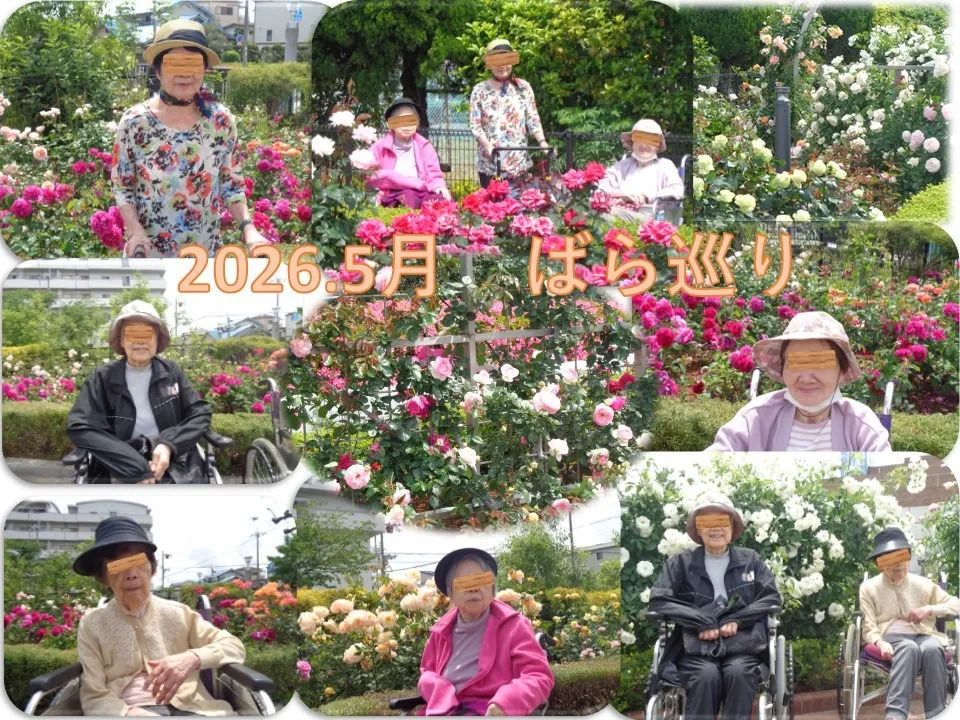 令和8年5月20日㈬　バラを見に行ってきました
